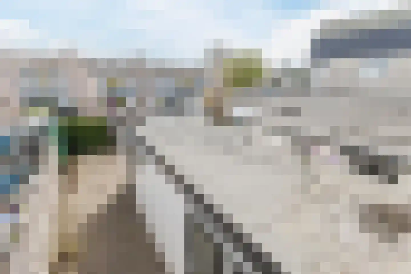 Dorpsstraat 1013 Assendelft thumbnail 31