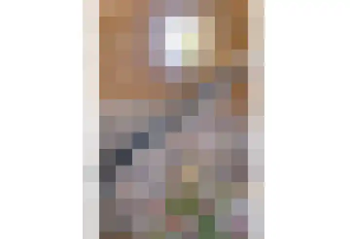 Dorpsstraat 103 Bingelrade thumbnail 22