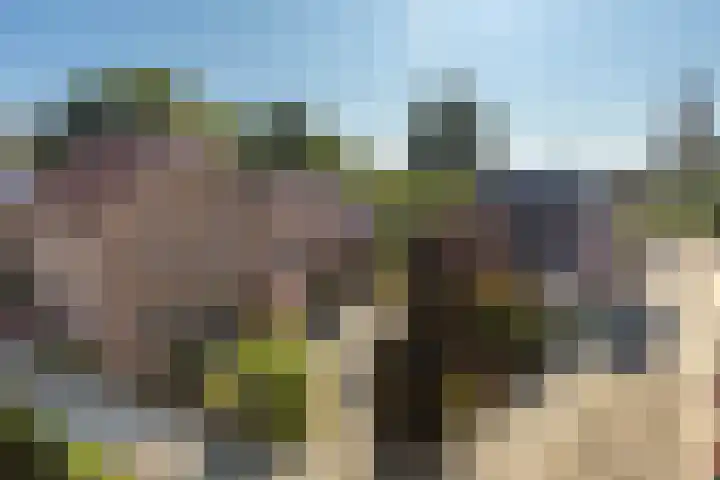 Dorpsstraat 103 Bingelrade thumbnail 6