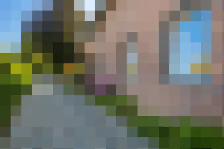 Dorpsstraat 103 Bingelrade thumbnail 71