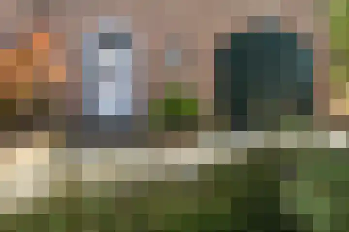 Dorpsstraat 103 Bingelrade thumbnail 9