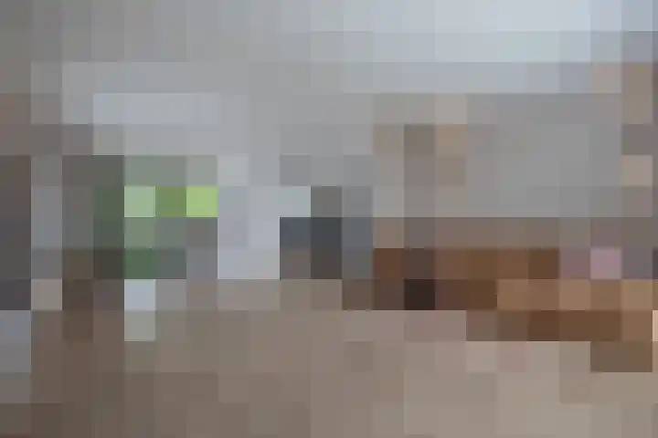 Dorpsstraat 104 Buggenum thumbnail 14