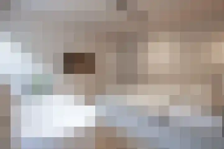 Dorpsstraat 104 Buggenum thumbnail 29