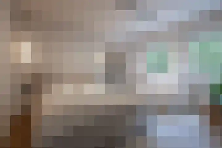 Dorpsstraat 104 Buggenum thumbnail 30