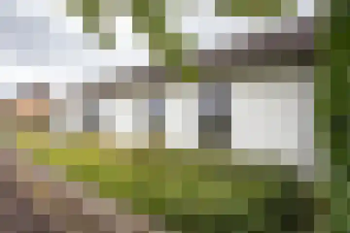 Dorpsstraat 104 Buggenum thumbnail 46