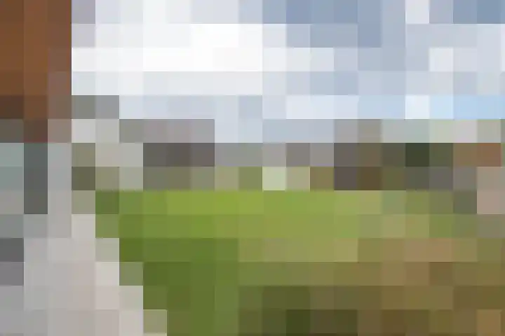 Dorpsstraat 104 Buggenum thumbnail 53