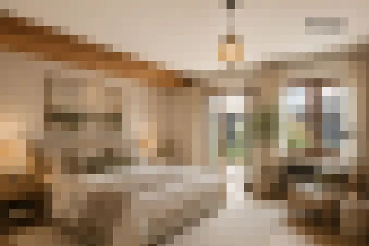 Dorpsstraat 104 Renswoude thumbnail 20