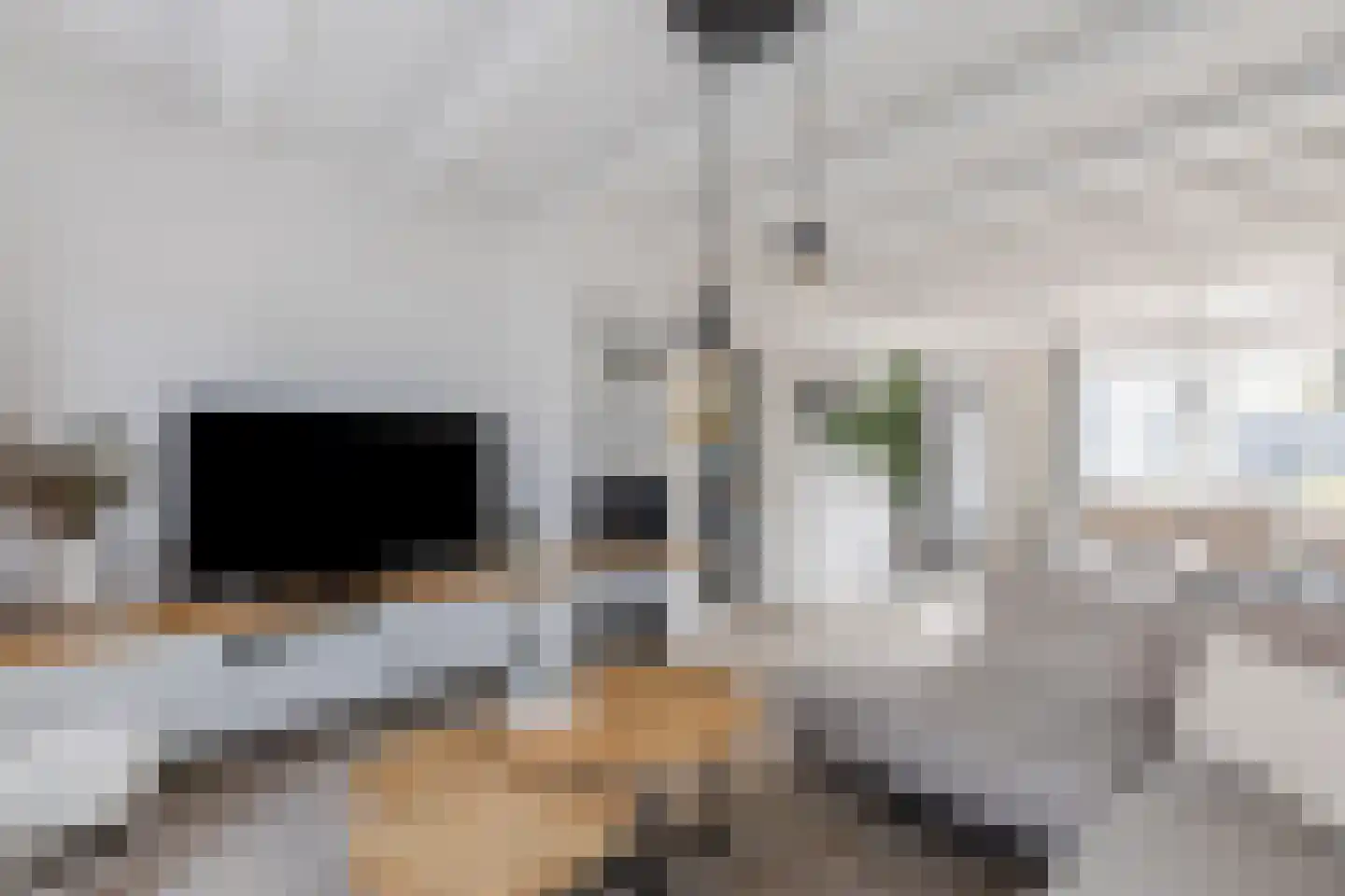 Dorpsstraat 1043 Assendelft thumbnail 12