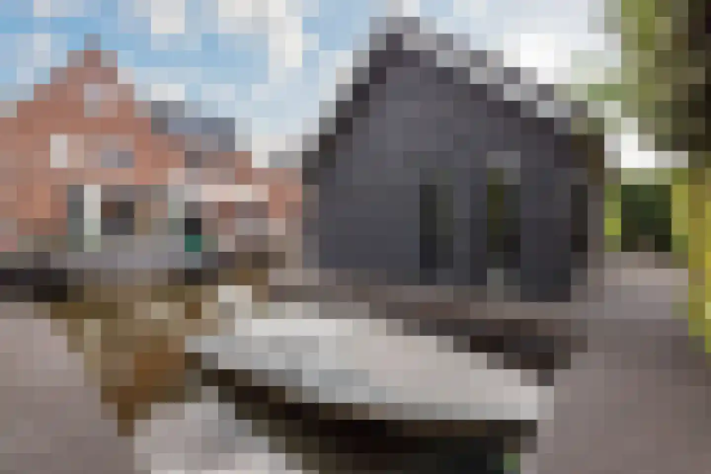 Dorpsstraat 106 Aalsmeer thumbnail 10
