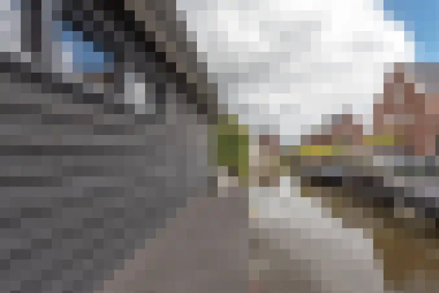 Dorpsstraat 106 Aalsmeer thumbnail 11