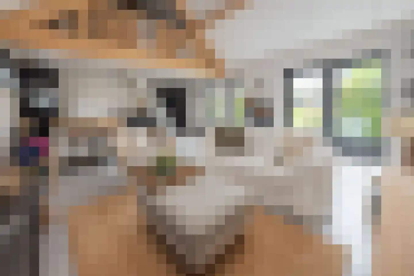 Dorpsstraat 106 Aalsmeer thumbnail 12