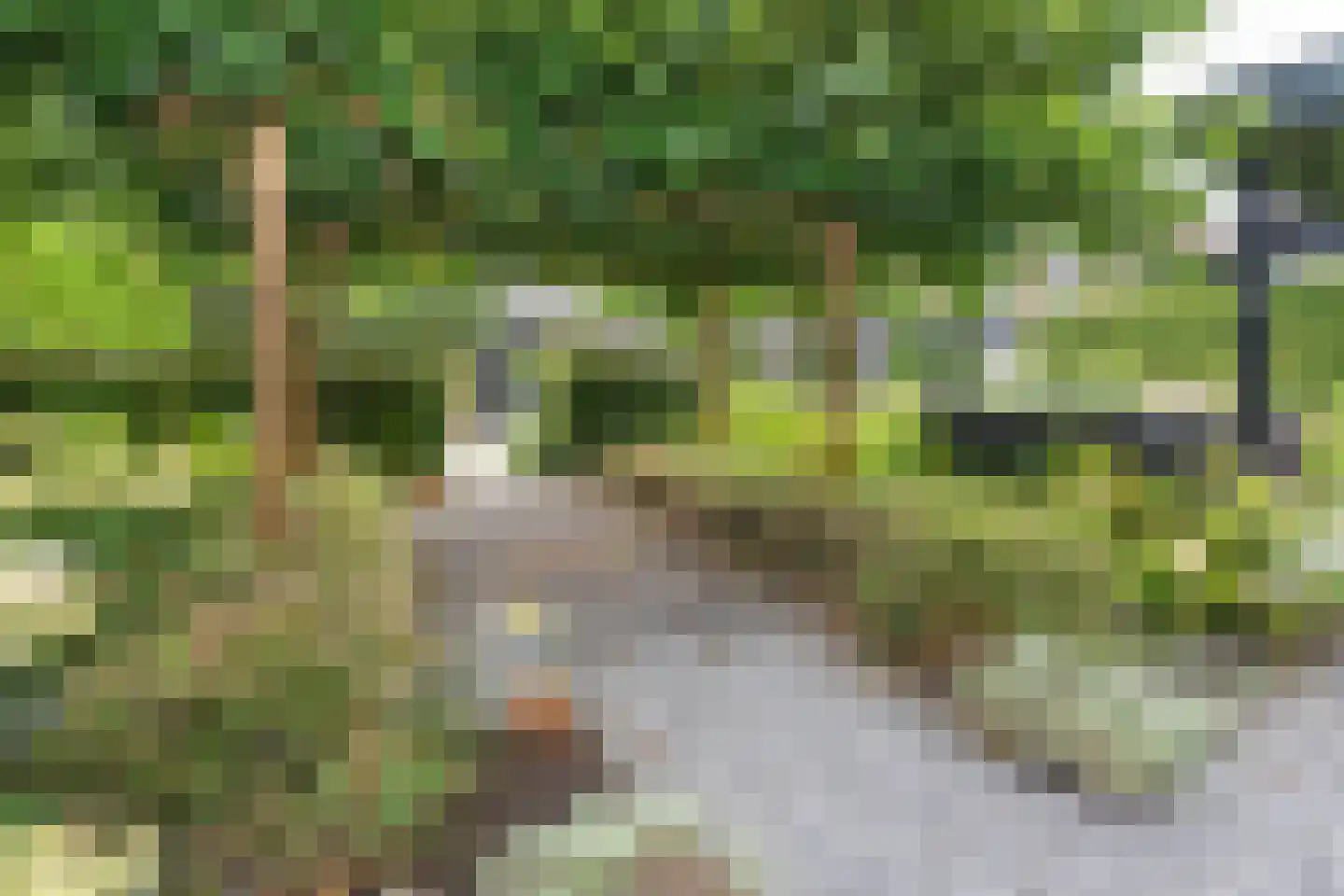 Dorpsstraat 106 Aalsmeer thumbnail 7