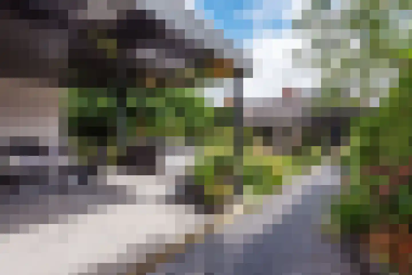 Dorpsstraat 106 Aalsmeer thumbnail 8