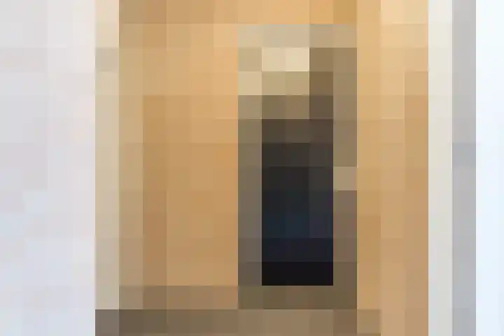 Dorpsstraat 106 b Halsteren thumbnail 11