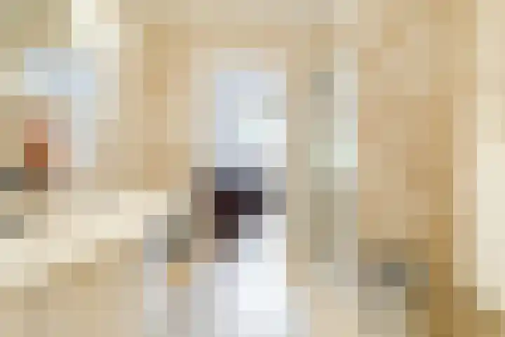 Dorpsstraat 106 b Halsteren thumbnail 34