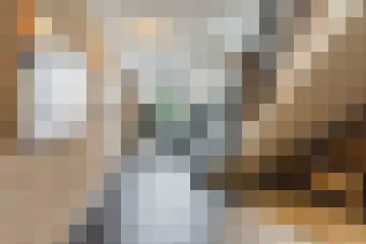 Dorpsstraat 106 b Halsteren thumbnail 8