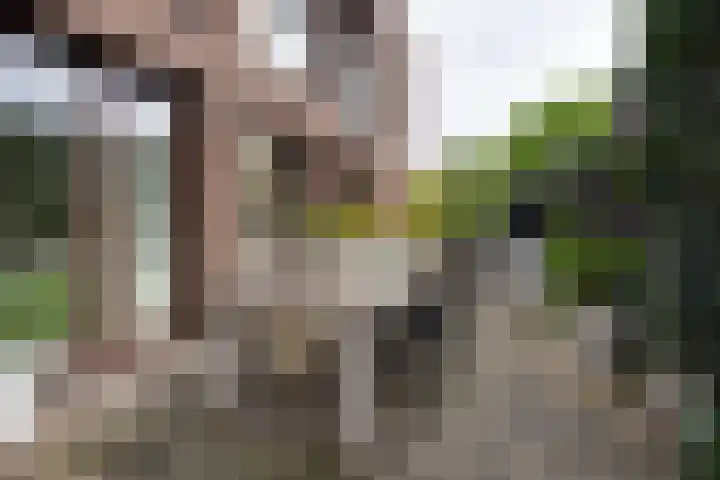 Dorpsstraat 106 C Amstelveen thumbnail 11
