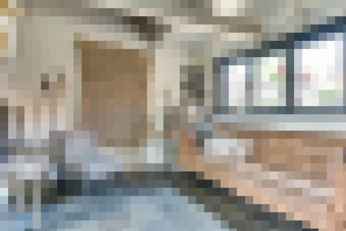Dorpsstraat 106 Renswoude thumbnail 10