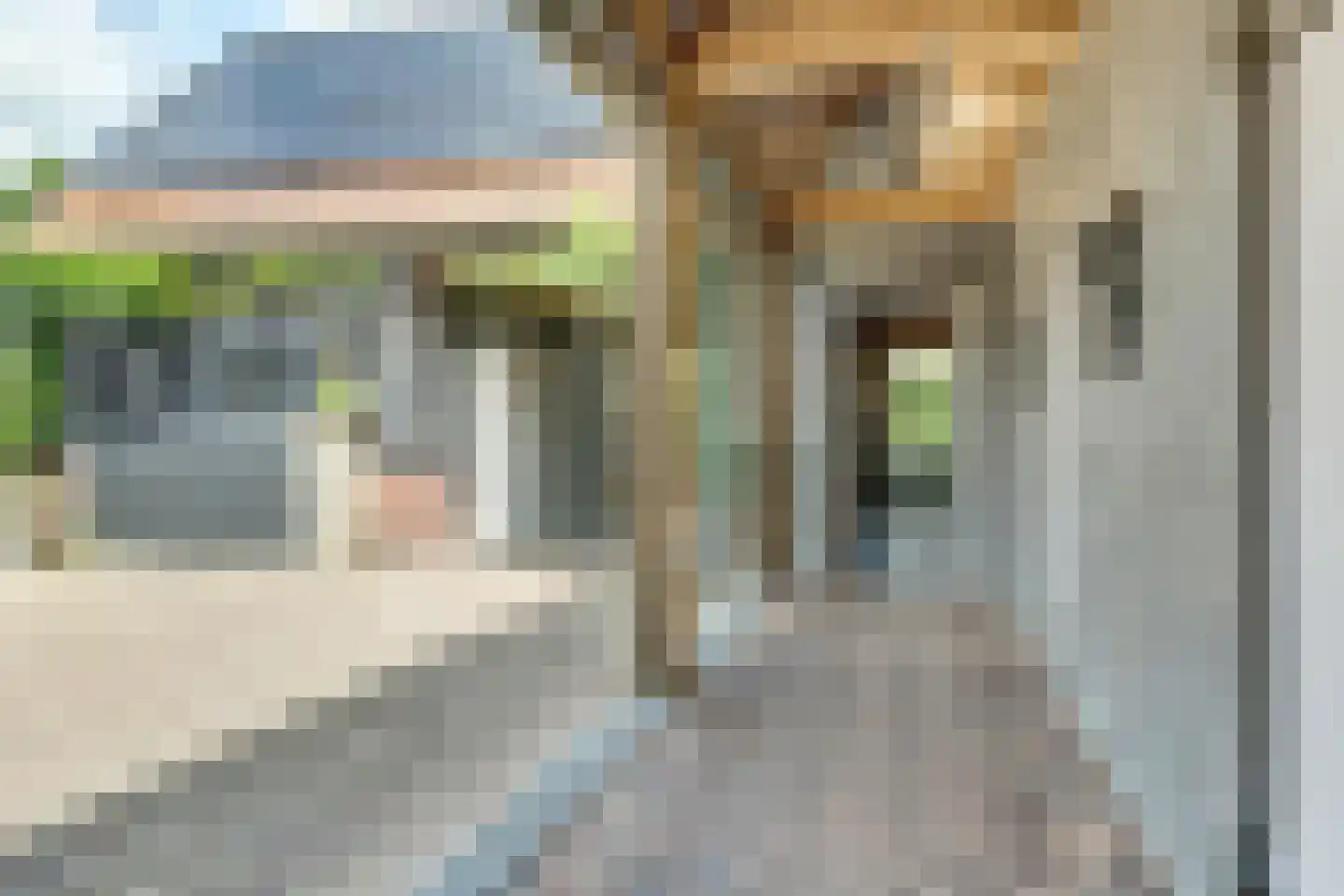 Dorpsstraat 106 Renswoude thumbnail 17