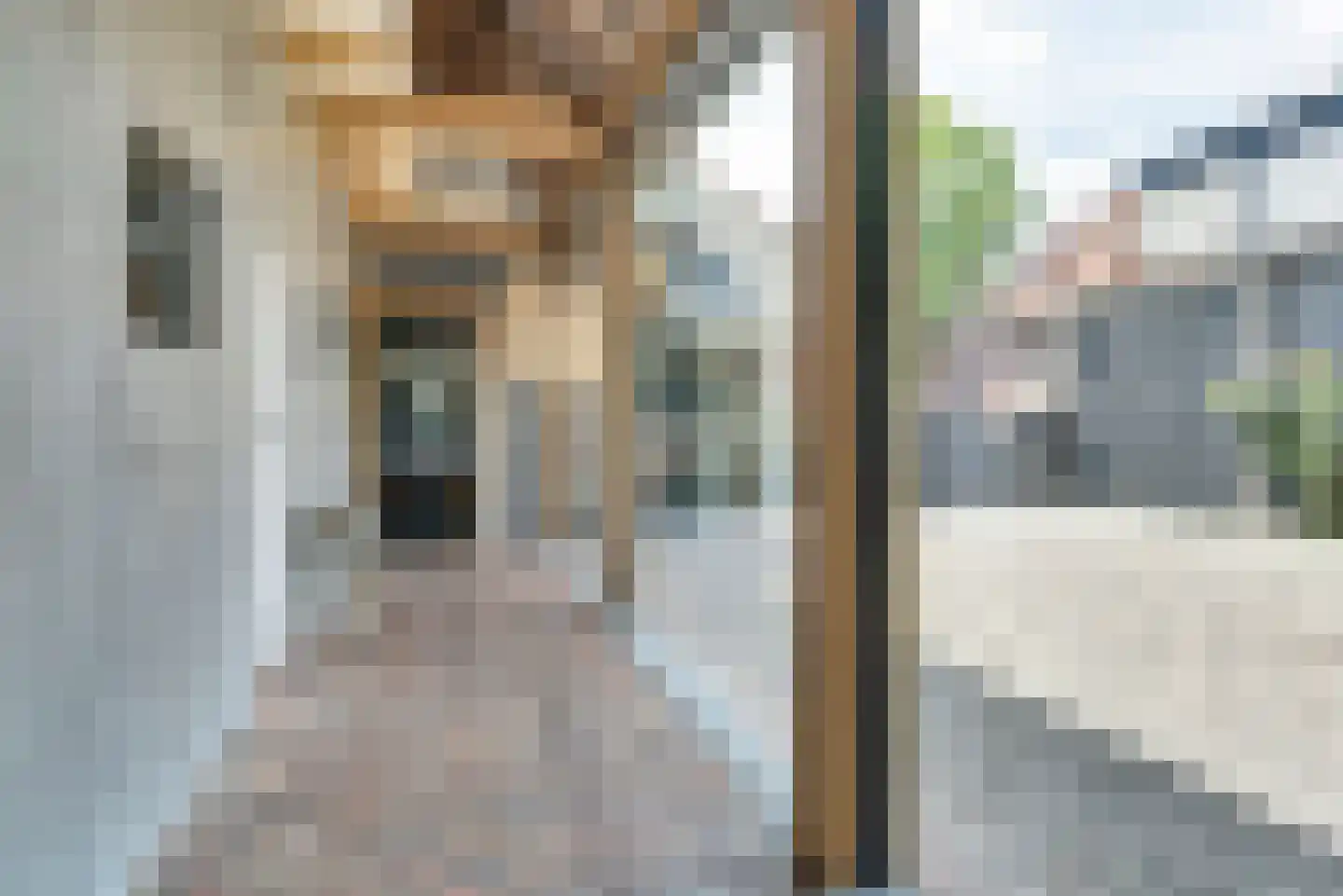 Dorpsstraat 106 Renswoude thumbnail 36