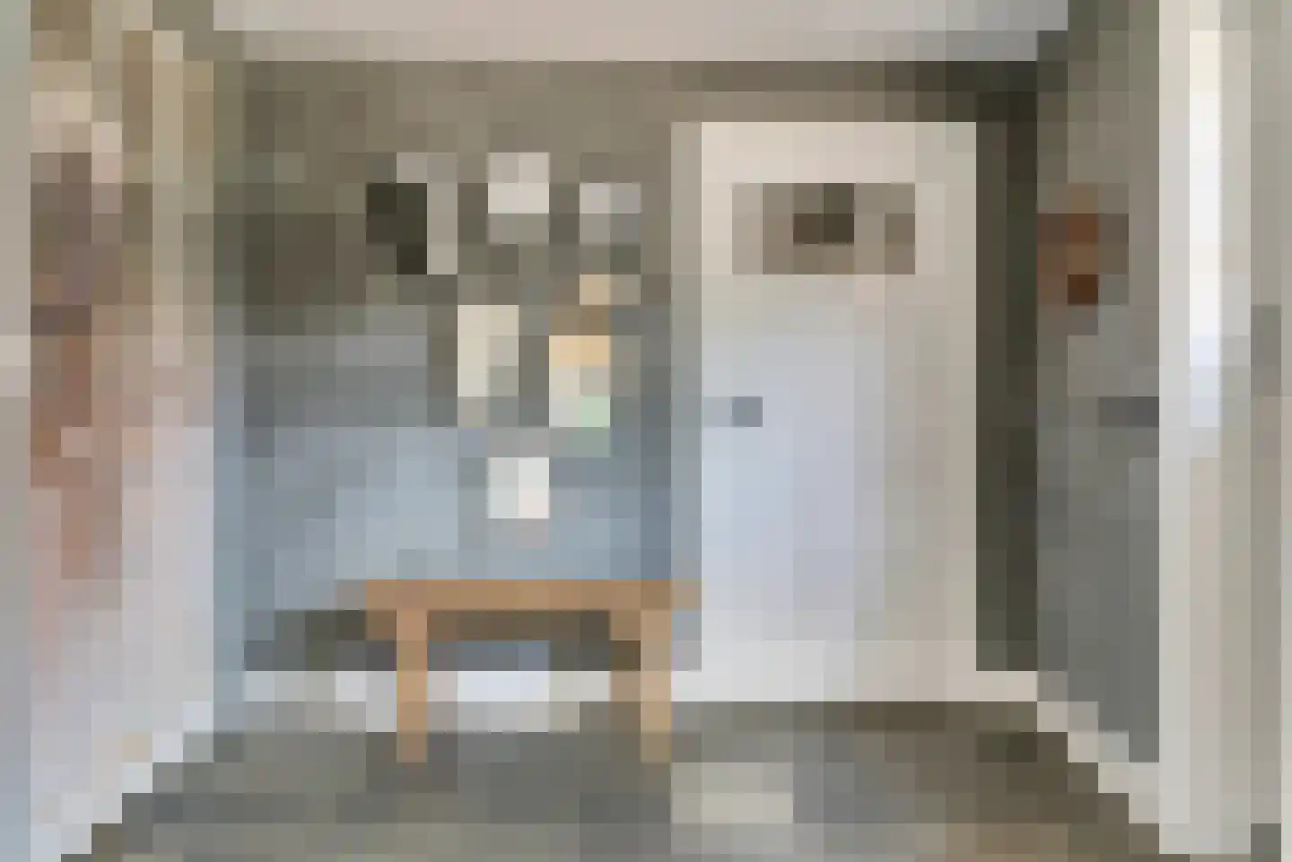 Dorpsstraat 106 Renswoude thumbnail 8