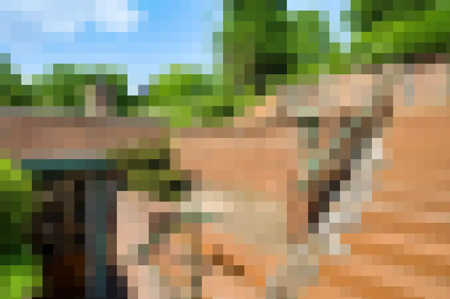 Dorpsstraat 107 Bingelrade thumbnail 21