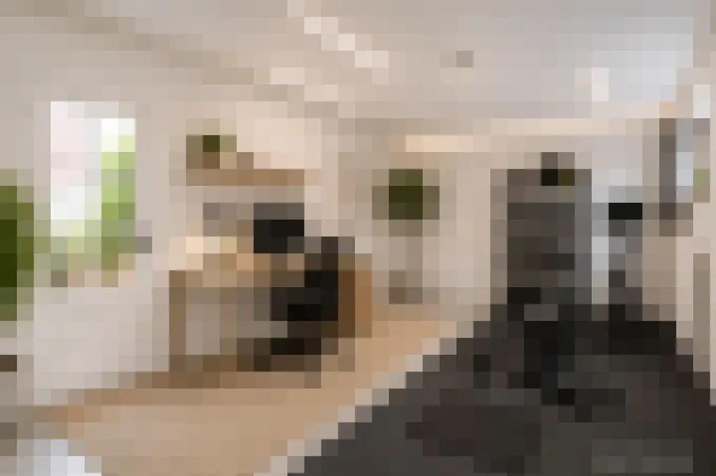 Dorpsstraat 107 Bingelrade thumbnail 23