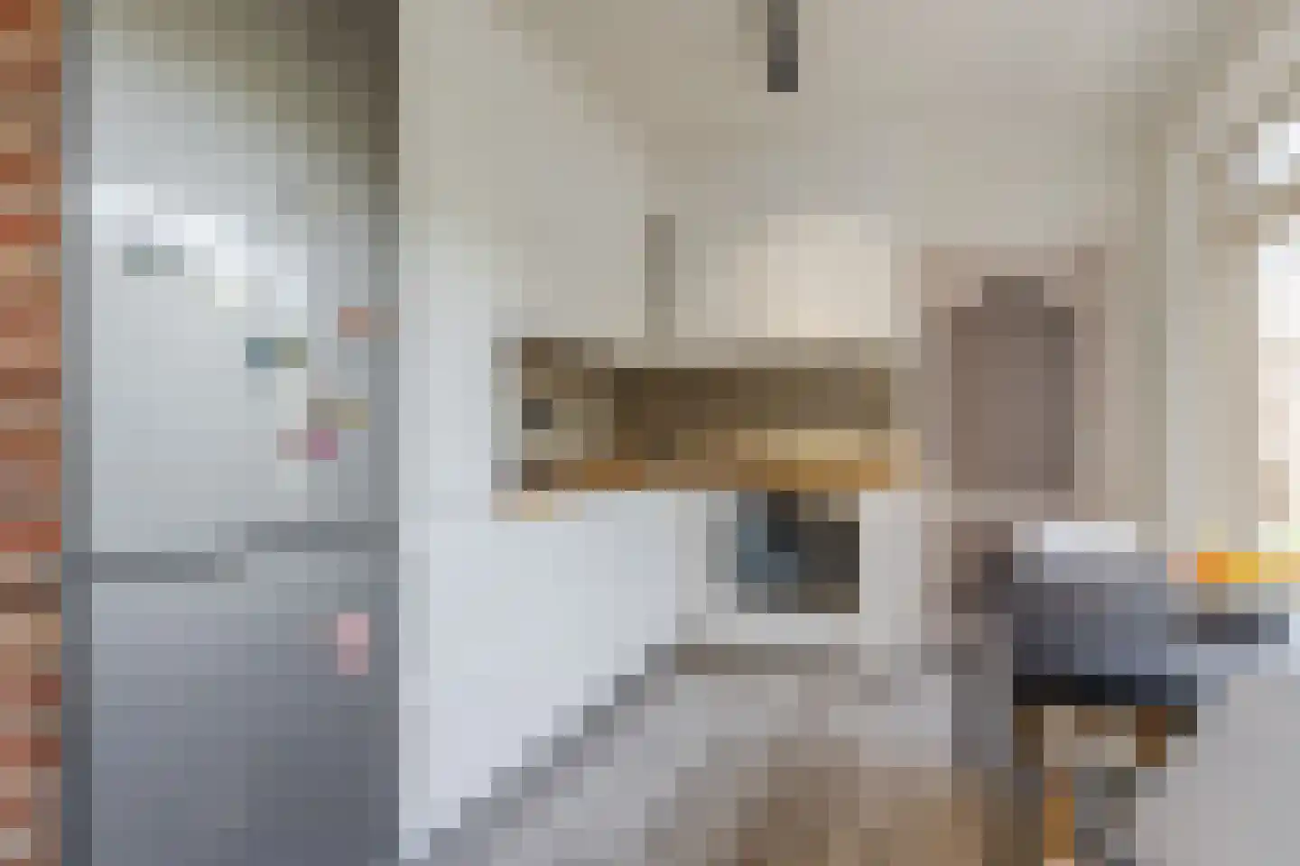 Dorpsstraat 107 Meeuwen thumbnail 12