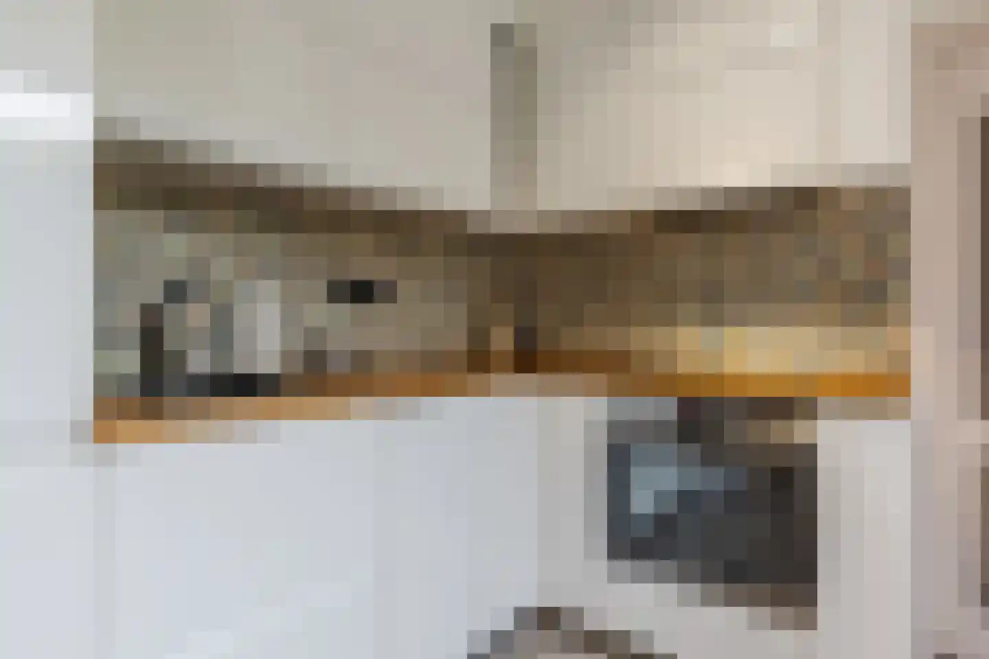 Dorpsstraat 107 Meeuwen thumbnail 13