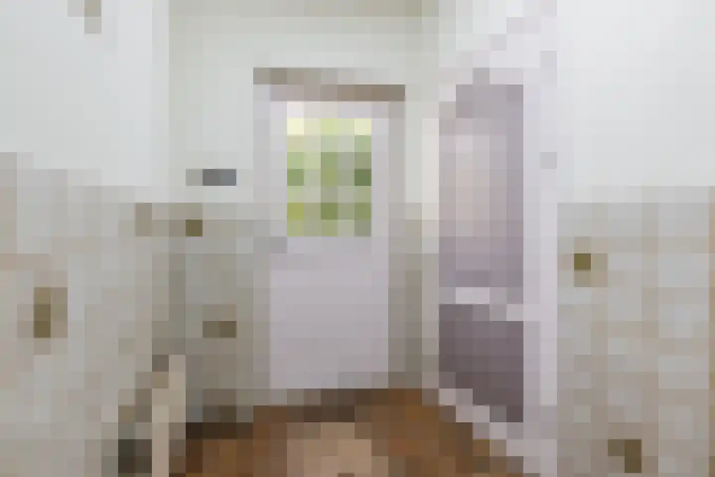 Dorpsstraat 107 Meeuwen thumbnail 15