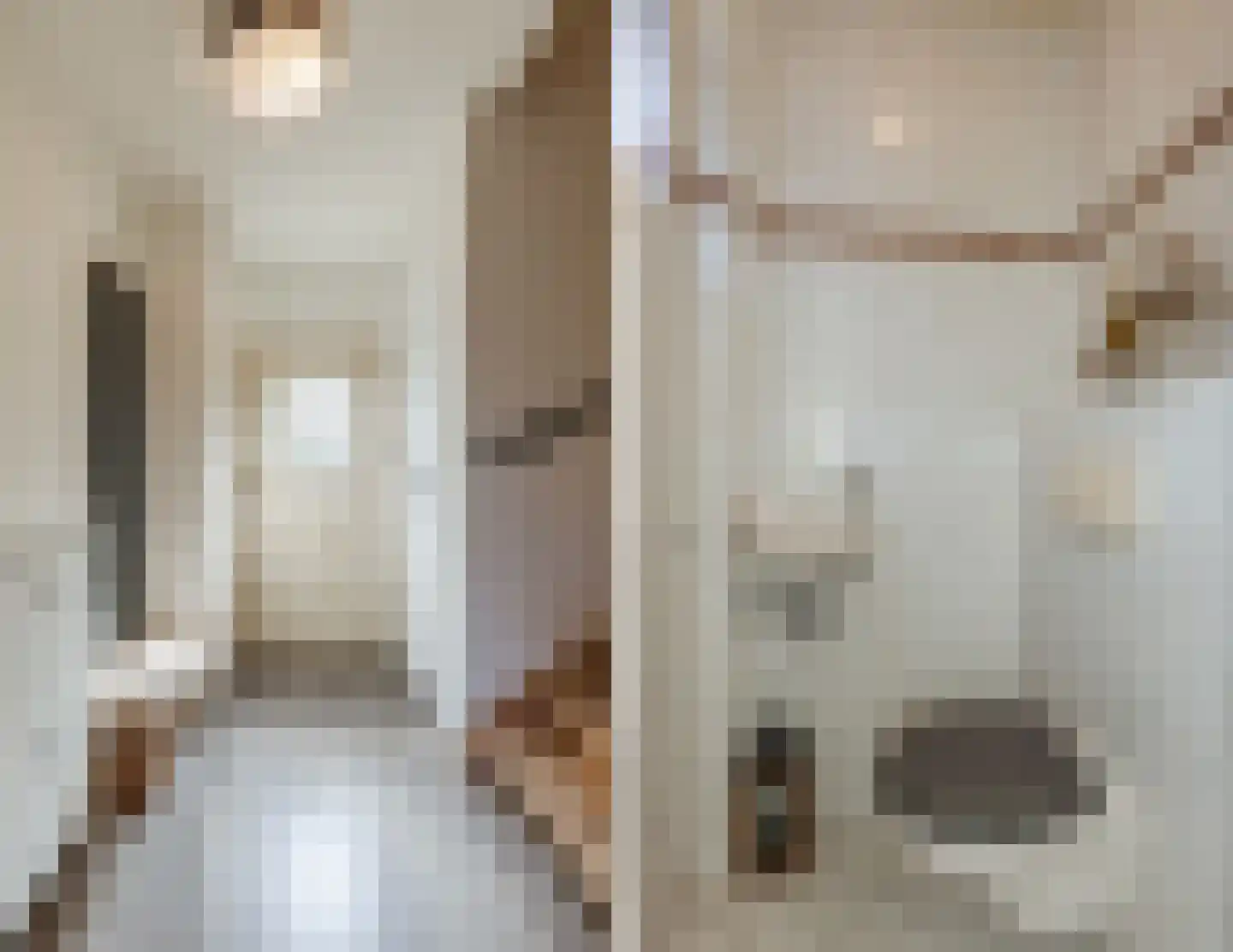 Dorpsstraat 107 Meeuwen thumbnail 6