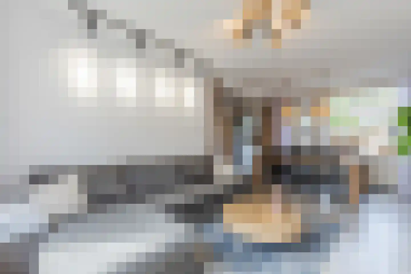Dorpsstraat 107 Meeuwen thumbnail 8