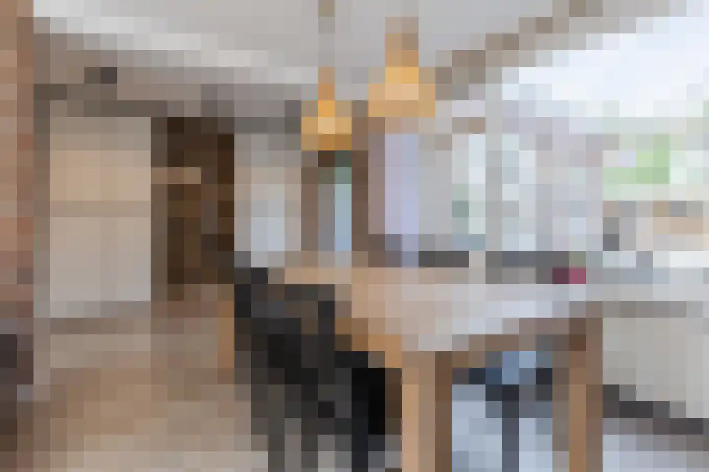 Dorpsstraat 107 Meeuwen thumbnail 9