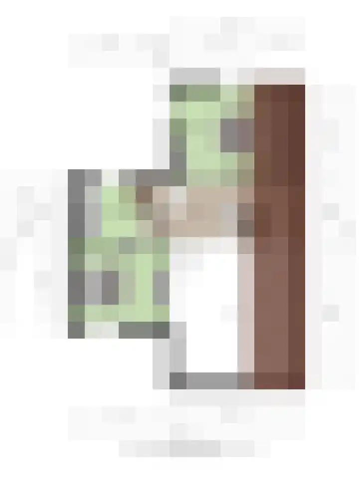 Dorpsstraat 108 Eckelrade thumbnail 34