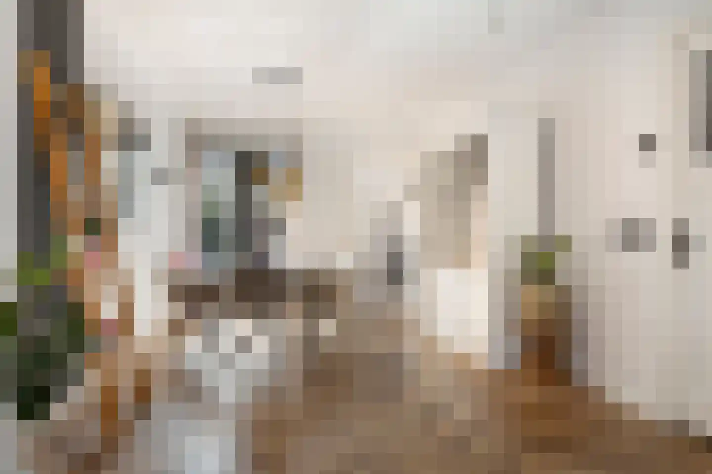 Dorpsstraat 108 Helmond thumbnail 12