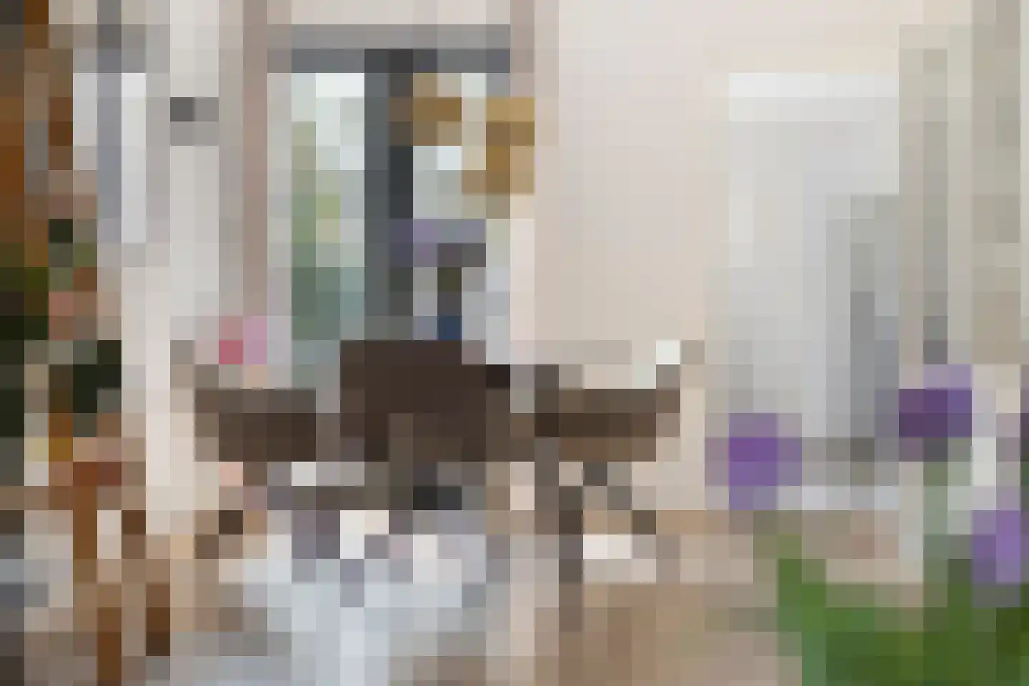 Dorpsstraat 108 Helmond thumbnail 14