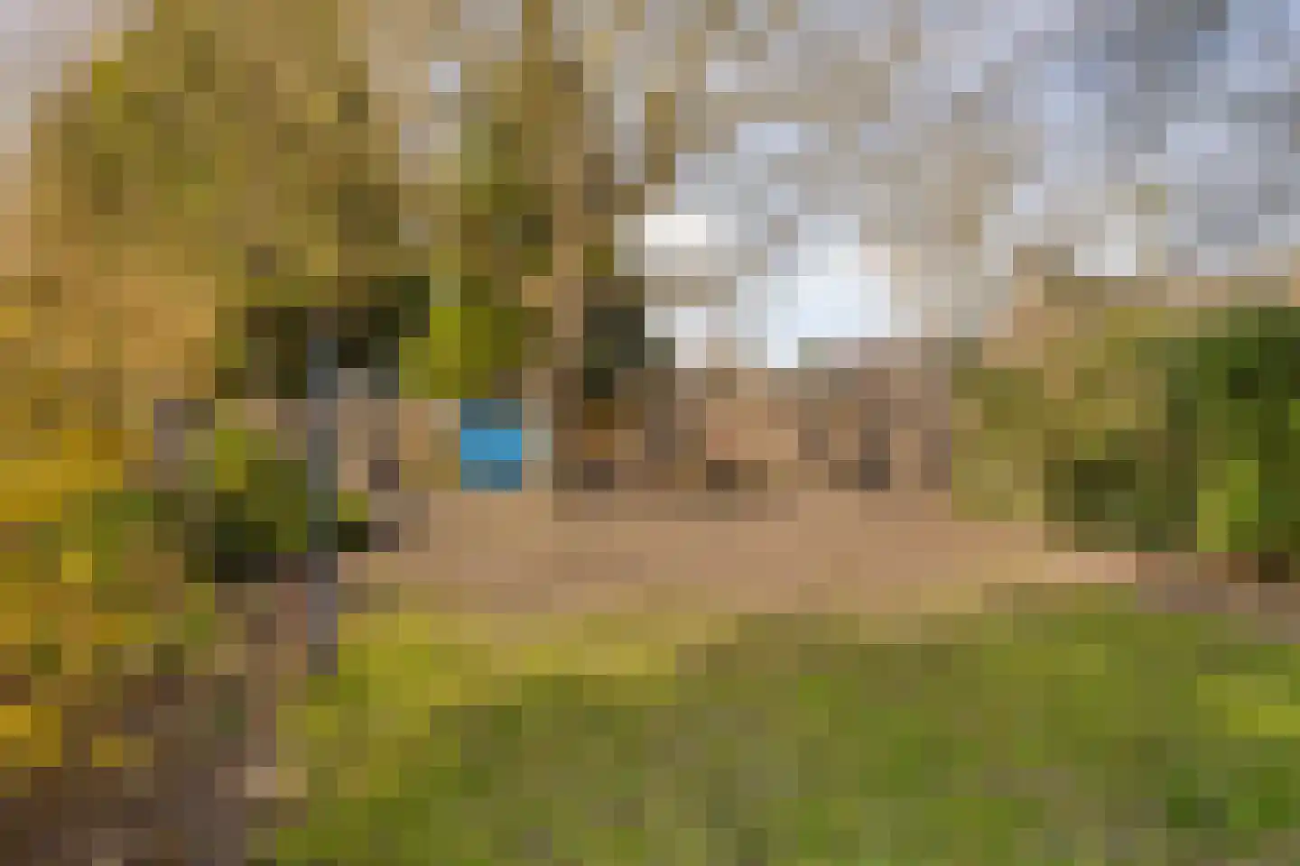 Dorpsstraat 108 Helmond thumbnail 32