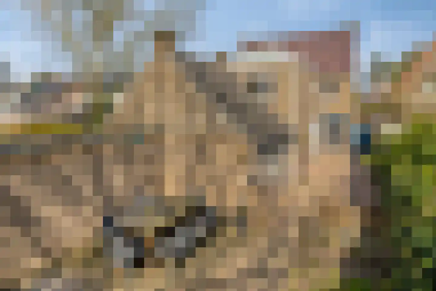 Dorpsstraat 108 Helmond thumbnail 37
