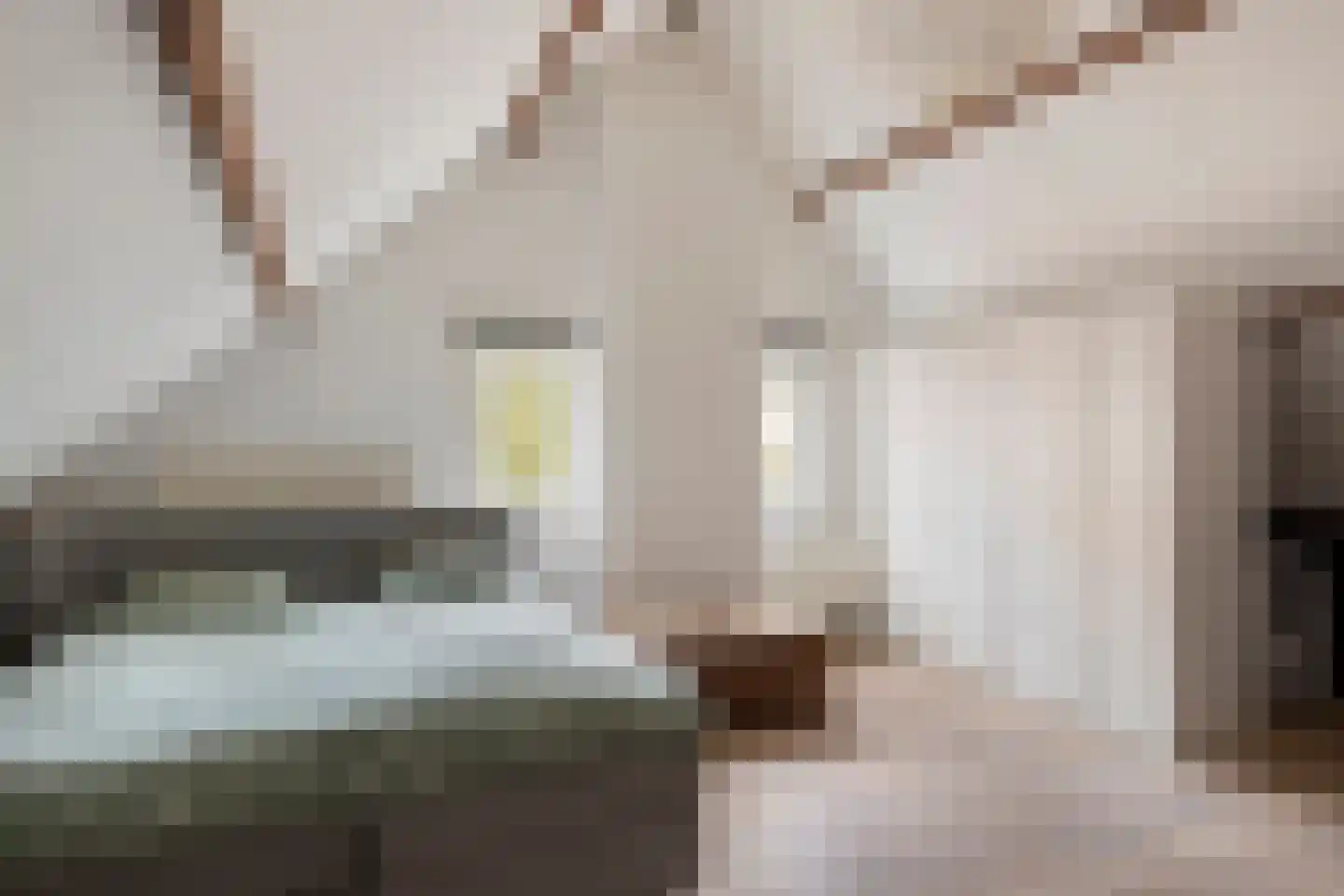 Dorpsstraat 108 Helmond thumbnail 5