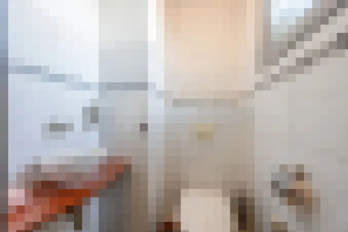 Dorpsstraat 108 Mierlo thumbnail 10
