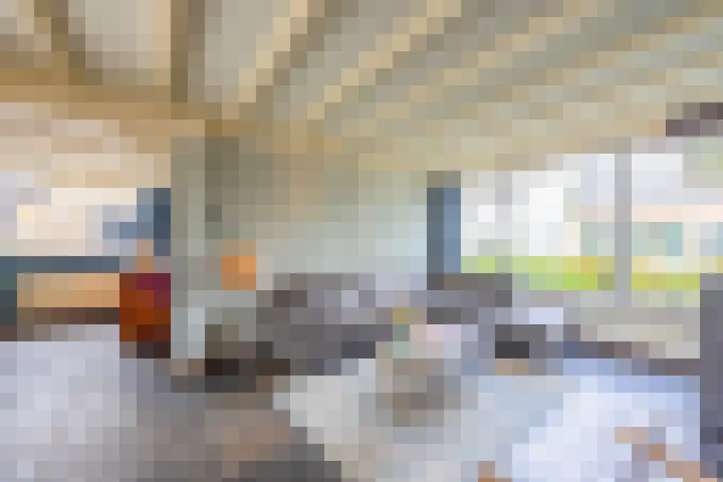 Dorpsstraat 108 Mierlo thumbnail 12