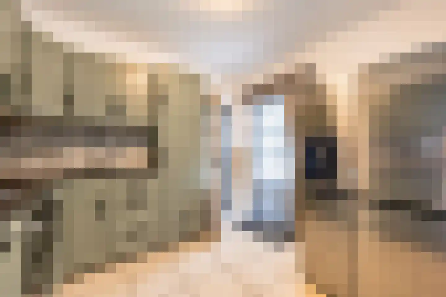 Dorpsstraat 108 Mierlo thumbnail 23