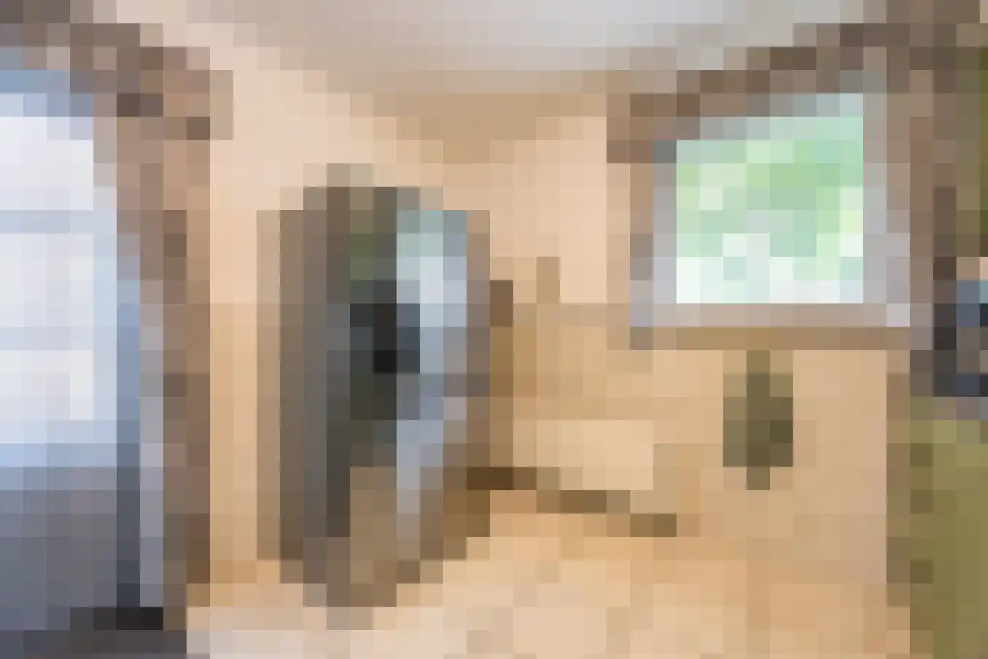 Dorpsstraat 108 Mierlo thumbnail 24