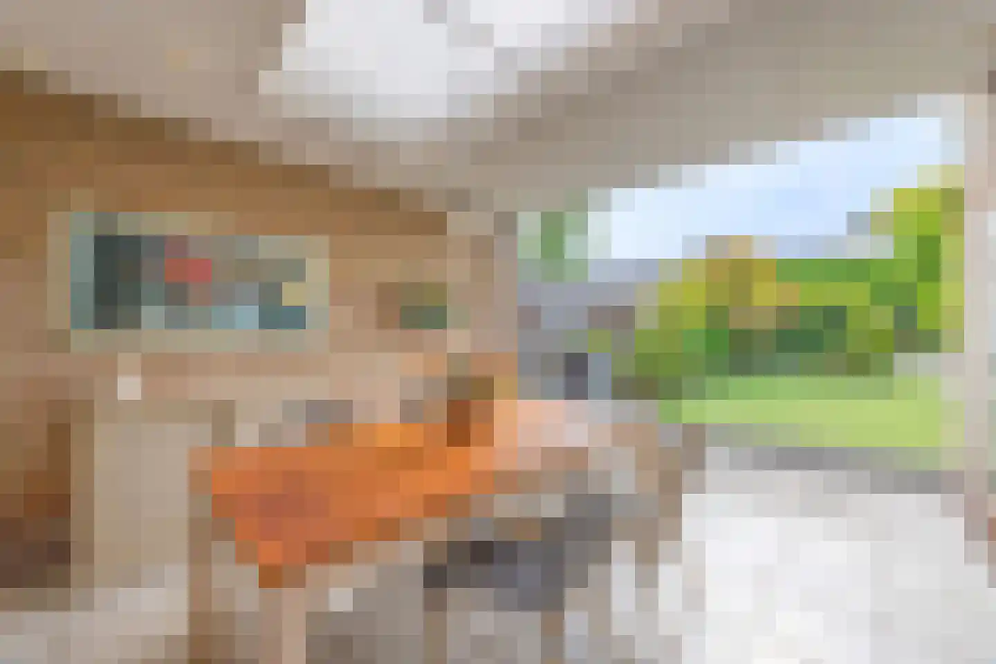 Dorpsstraat 108 Mierlo thumbnail 48