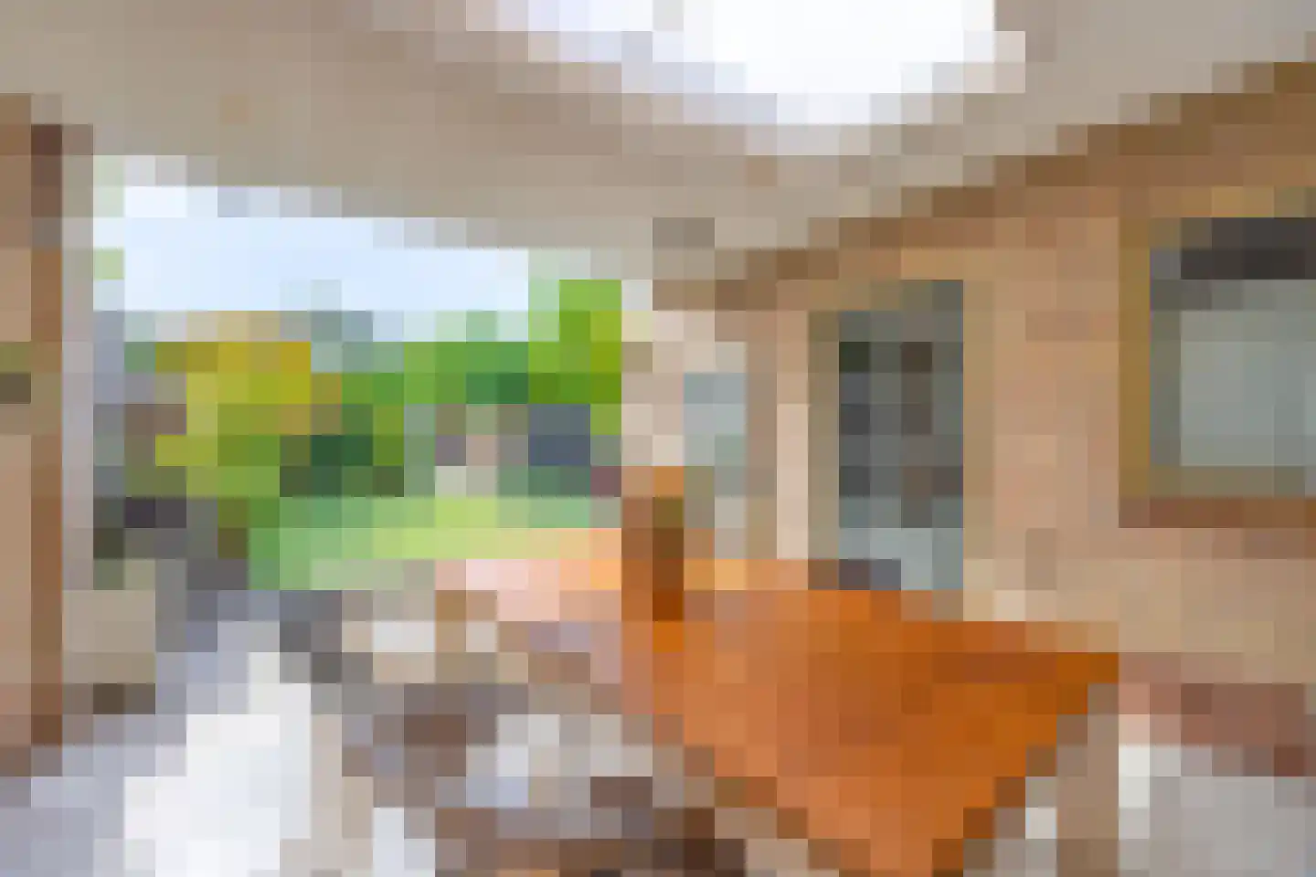 Dorpsstraat 108 Mierlo thumbnail 49