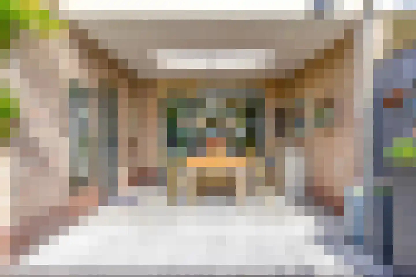 Dorpsstraat 108 Mierlo thumbnail 50