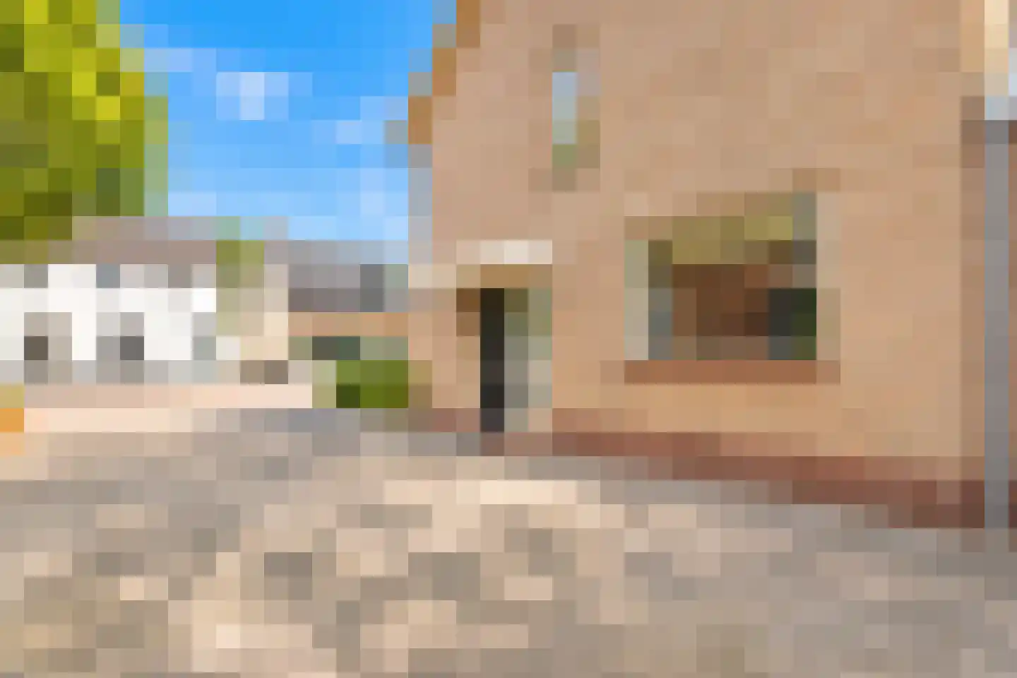 Dorpsstraat 108 Mierlo thumbnail 6