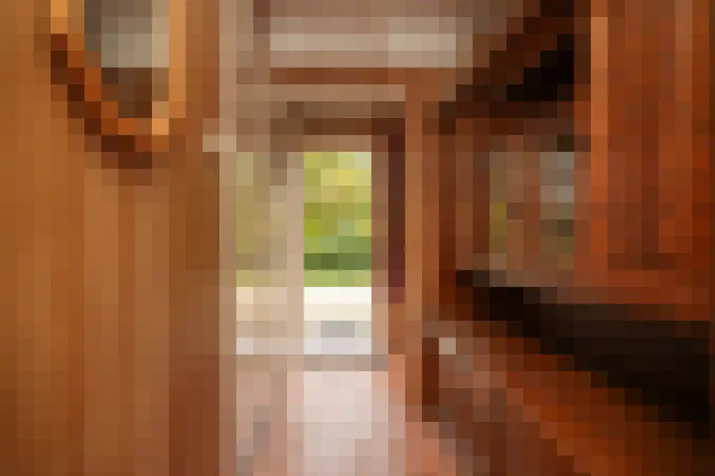 Dorpsstraat 108 Wamel thumbnail 15