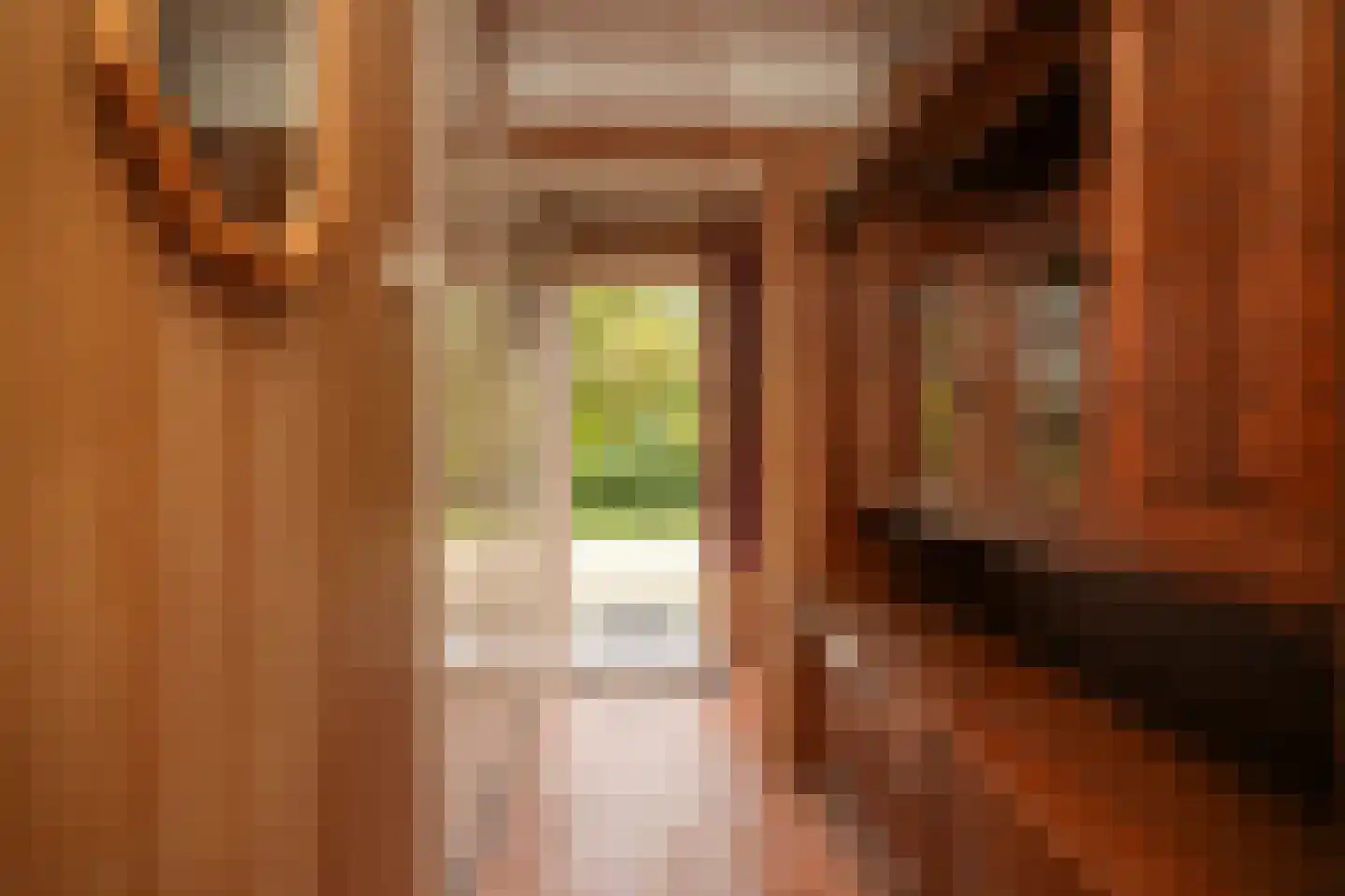 Dorpsstraat 108 Wamel thumbnail 16