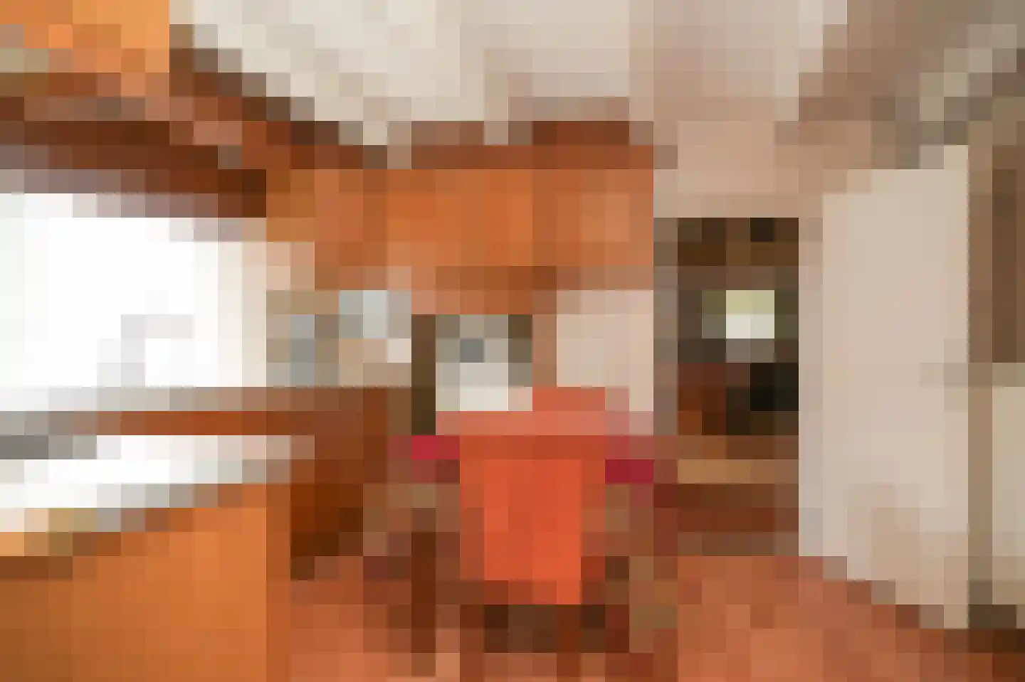 Dorpsstraat 108 Wamel thumbnail 18